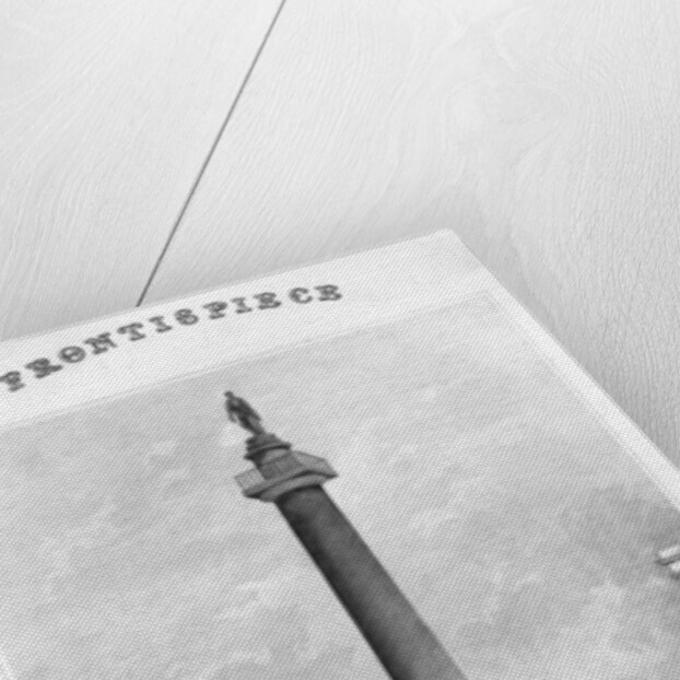 The Duke of York's Column from St James's Park, Westminster, London by Anonymous