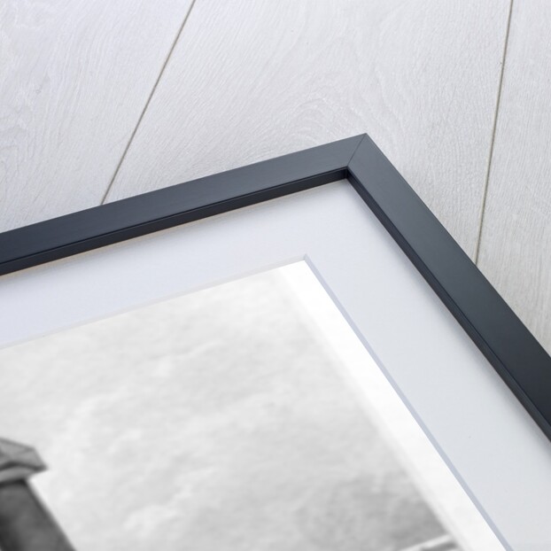 The Duke of York's Column from St James's Park, Westminster, London by Anonymous