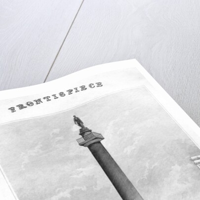 The Duke of York's Column from St James's Park, Westminster, London by Anonymous