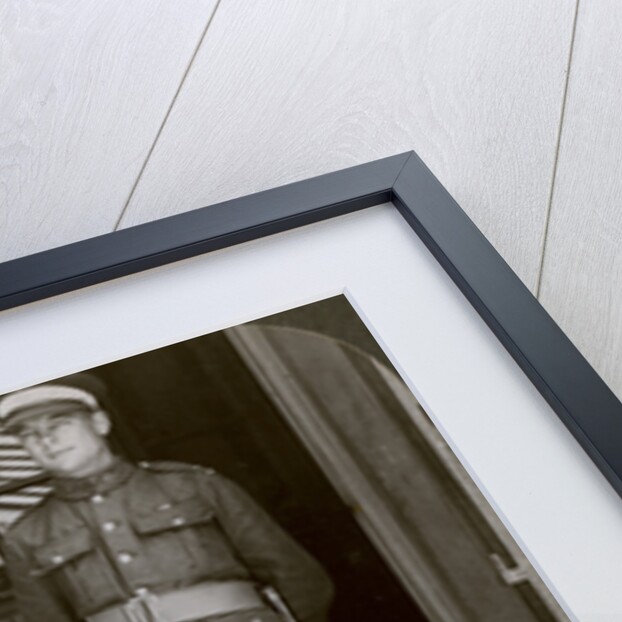 Captain MacDougall, DSO, and Cadet Mullin, two Canadian VCs, World War I by Realistic Travels Publishers