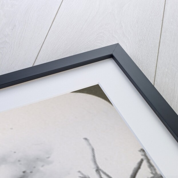 Advance across 'No Man's Land' to assault the German lines, World War I by Realistic Travels Publishers