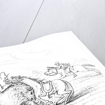 Buffalo attacking a cowboy on a horse by Myers and Co