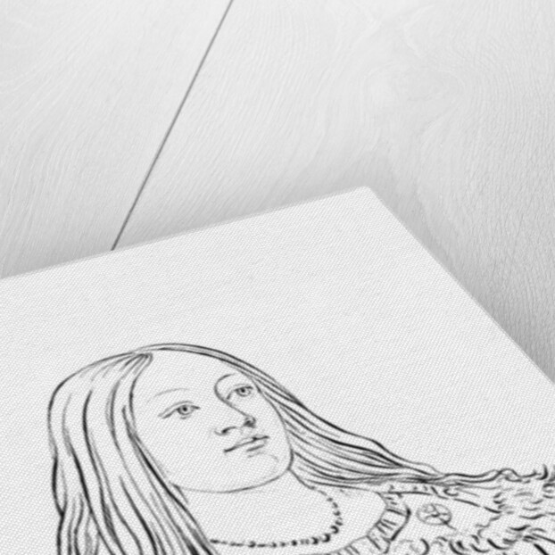 Portrait of a Native American woman by Myers and Co