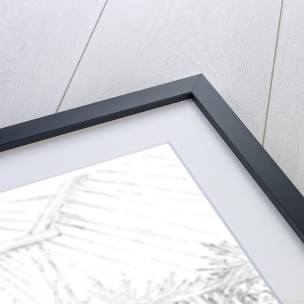 Medicine man and teepee interior by Myers and Co