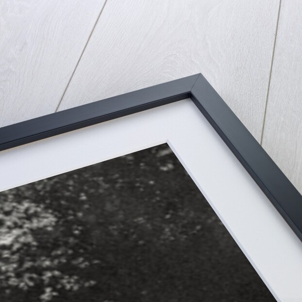 Frederic Passy, French economist and writer by Anonymous