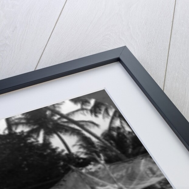 Fishermen drying their nets on the beach, Basseterre, St Christopher, West Indies by HC White