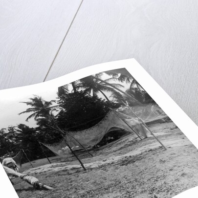Fishermen drying their nets on the beach, Basseterre, St Christopher, West Indies by HC White