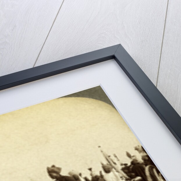 Silver cannon of the Maharaja of Baroda, Delhi, India by Underwood & Underwood