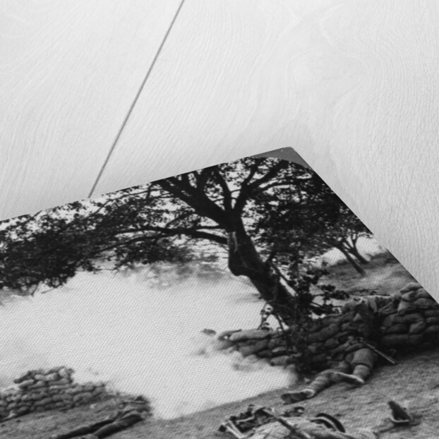 First World War battlefield scene by Realistic Travels Publishers