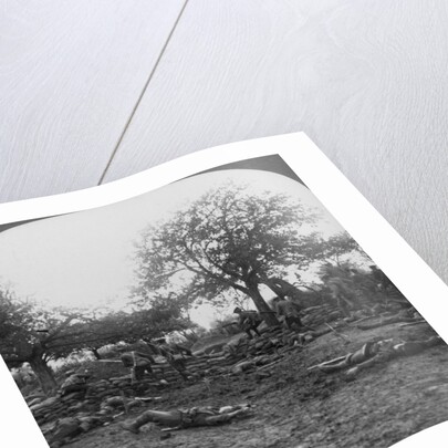 First World War battlefield scene by Realistic Travels Publishers