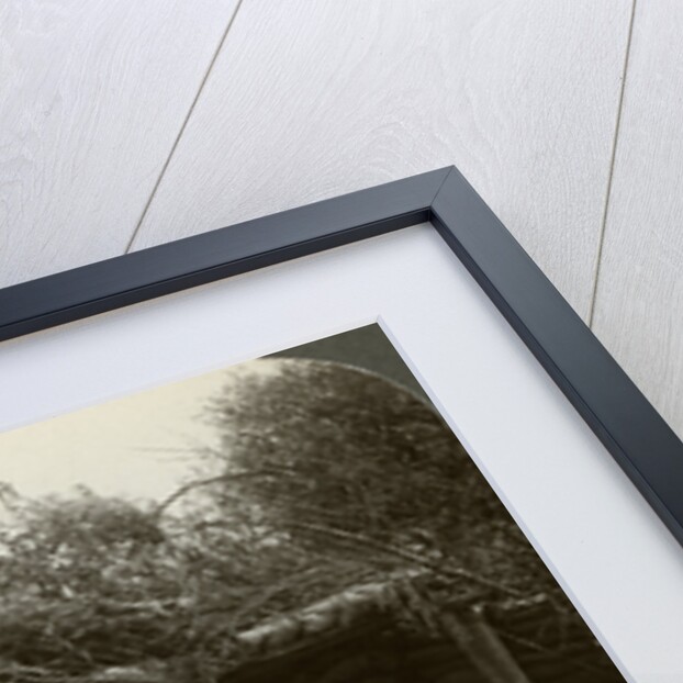 Artillery position, World War I by Realistic Travels Publishers