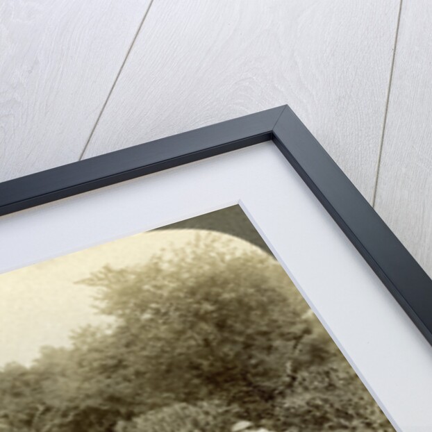 Children working in a vegetable garden, Salvation Army Home, Spring Valley, New York, USA by Underwood & Underwood