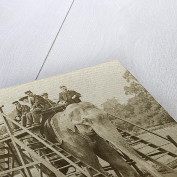 Elephant ride by Anonymous