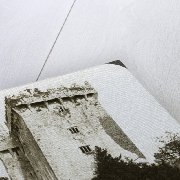 Blarney Castle, Cork, Ireland by Underwood & Underwood