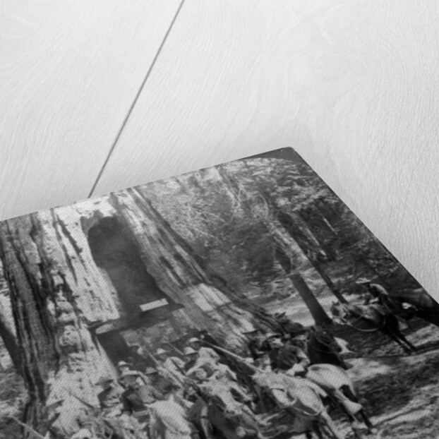 Cavalry passing through the great tree 'California', California, USA by Underwood & Underwood