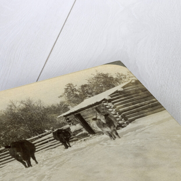 Winter on a ranch, Montana, USA by Underwood & Underwood