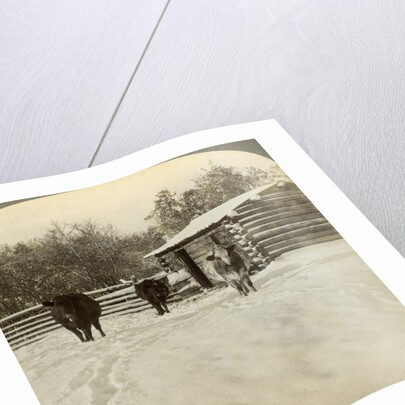 Winter on a ranch, Montana, USA by Underwood & Underwood