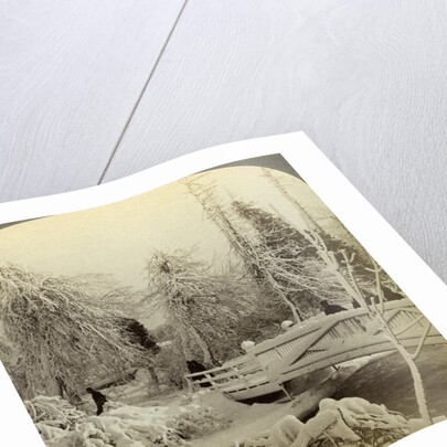 Winter scene, Luna Island, Niagara Falls, New York, USA by Underwood & Underwood