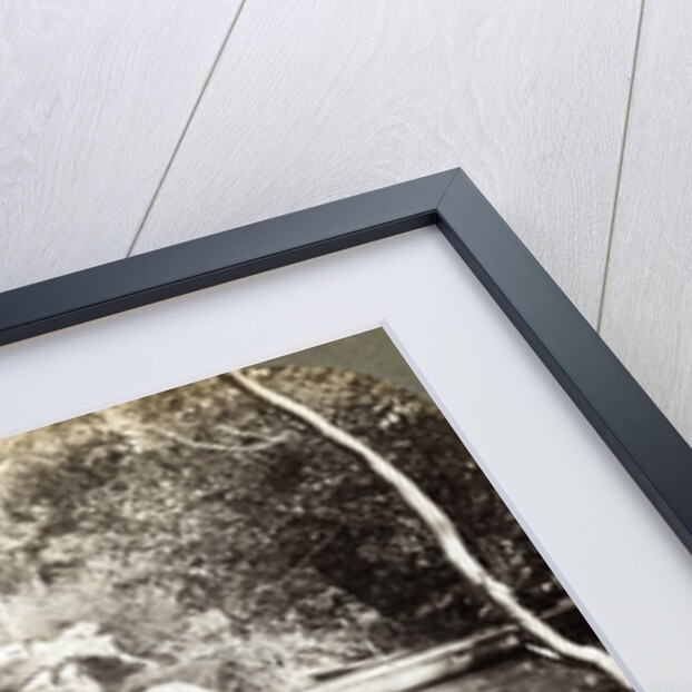 A Fishing Smack by Underwood & Underwood