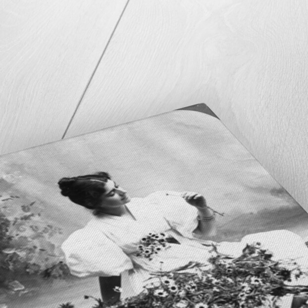 Tell Me Daisy Does He Love Me? by American Stereoscopic Company