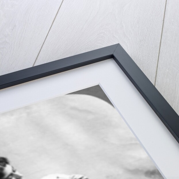 Tell Me Daisy Does He Love Me? by American Stereoscopic Company