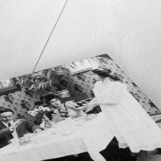 How Biddy Served the Tomatoes Undressed by American Stereoscopic Company