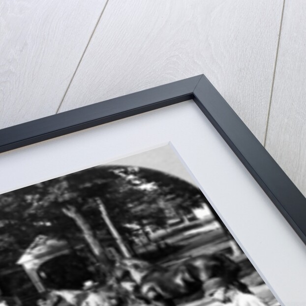 All Sorts and Sizes by The Fine Art Photographers Co