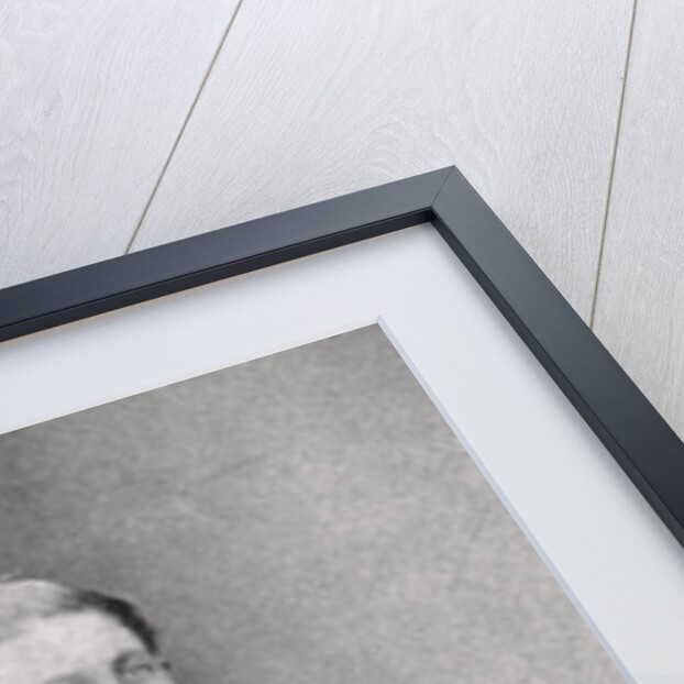 Louis Napoleon, Prince Imperial by Anonymous