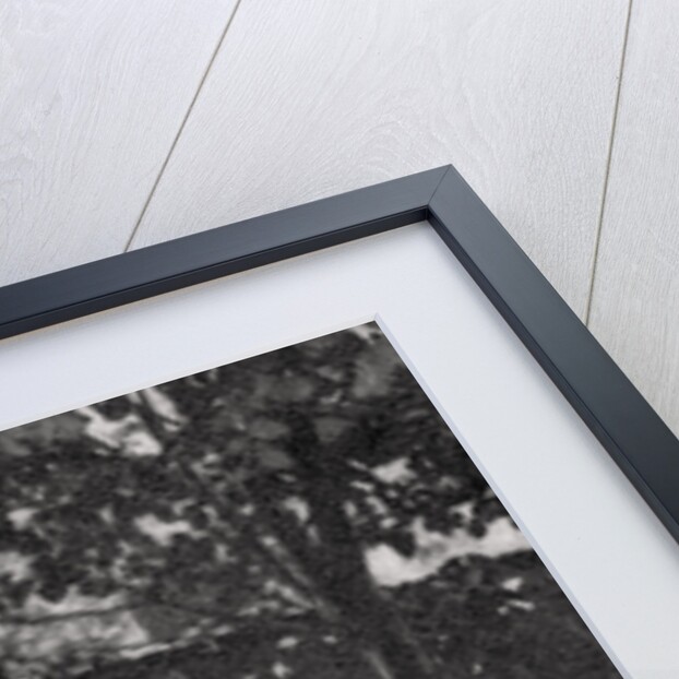 Gustave Eiffel, French engineer, with his family by Anonymous