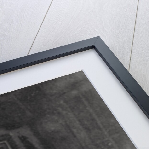 Jean-Baptiste Alphonse Karr, French critic, journalist and novelist by Anonymous