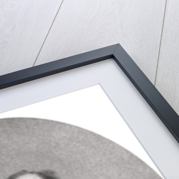 Jules Amedee Barbey d'Aurevilly, French novelist and short story writer by Anonymous