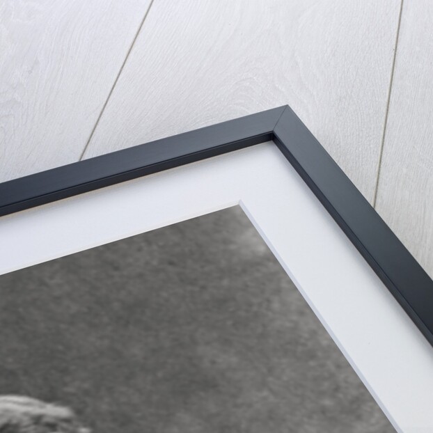 Alphonse Allais, French writer and humourist by Anonymous