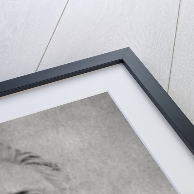 Henry Becque, French dramatist by Anonymous