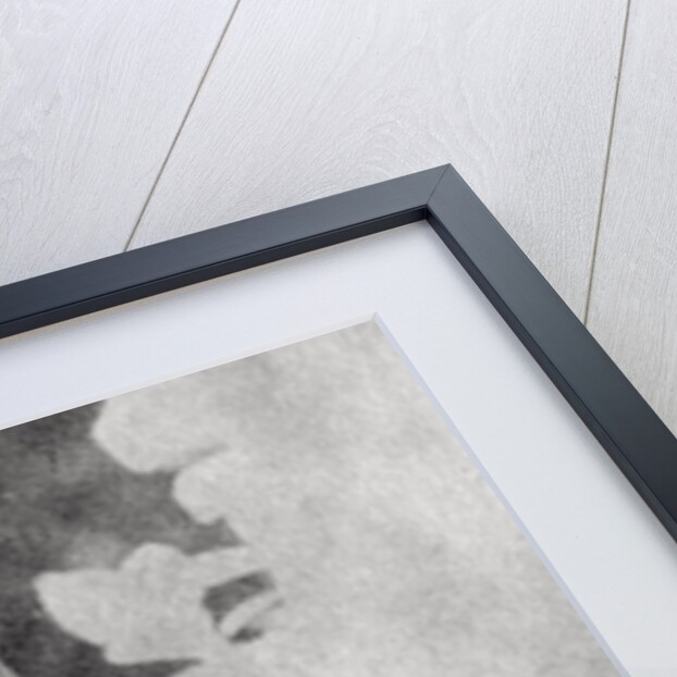 Ernest Psichari, French soldier and author by Anonymous