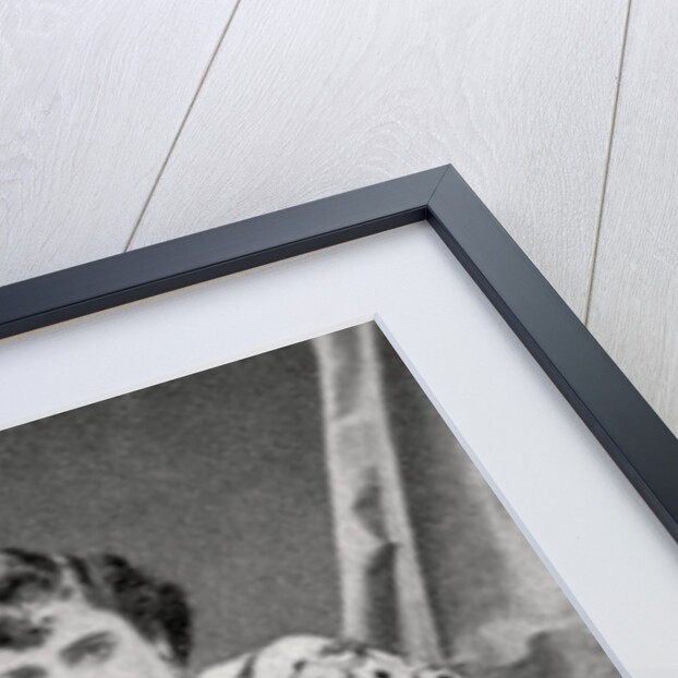 Alexandre Dumas, the Elder, French novelist and playwright by Anonymous