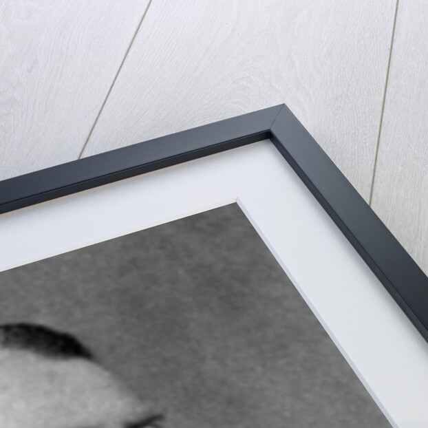 'Herve' (Louis Auguste Florimond Ronger), French singer, composer and conductor by Anonymous