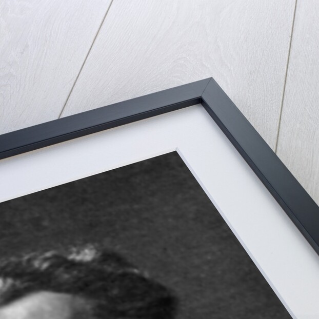 Charles Floquet, French statesman by Anonymous