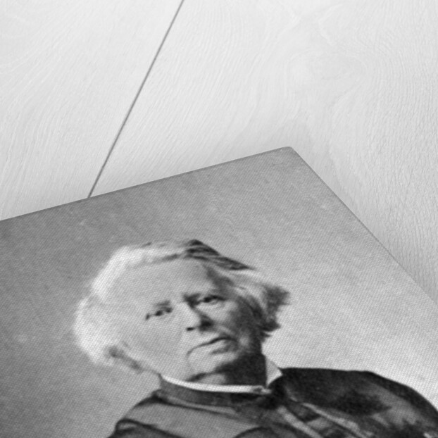 Rosa Bonheur, French Realist painter and sculptor by Anonymous