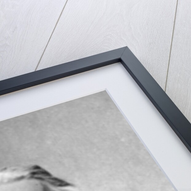 Rosa Bonheur, French Realist painter and sculptor by Anonymous