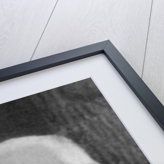 Francisque Sarcey, French journalist and drama critic by Anonymous