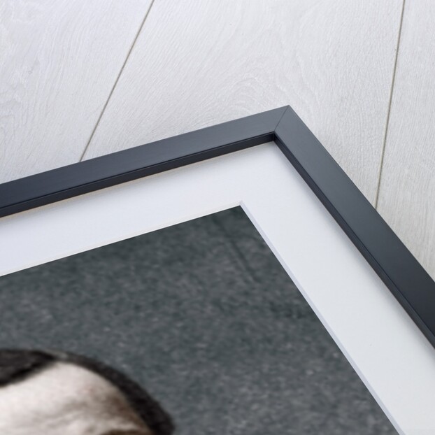 Louis Pasteur, French microbiologist and chemist by Anonymous