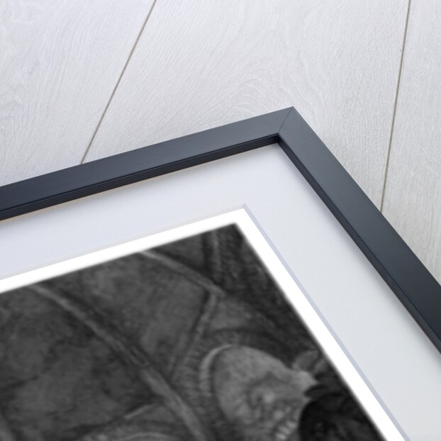 Infanticide in India, as Practised in the Temples of Canesa by T Jeavons