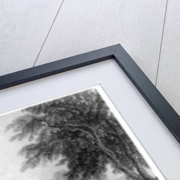 Shrine of Raiman Shah Doola, Elichpur by James Gardner