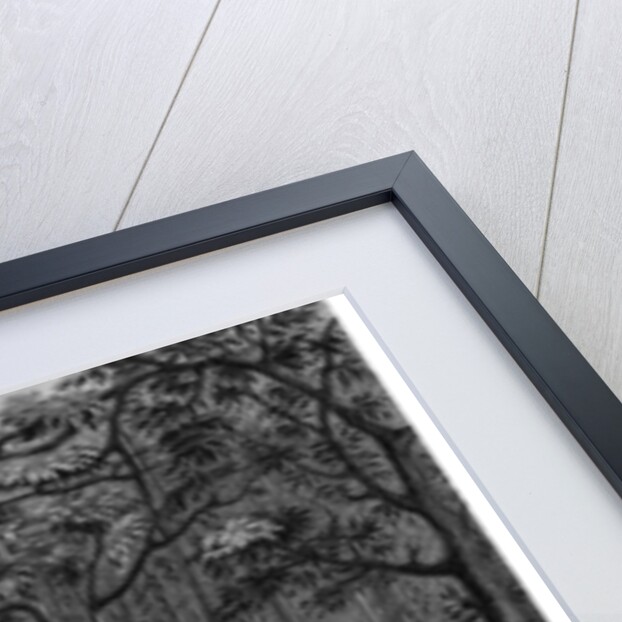 Hindu Fakirs Practising Their Superstitious Rites Under the Banyan Tree by Bell