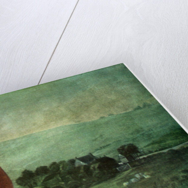 Finds from a Breaker barrow by Anonymous