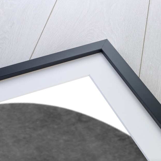 Charles Dickens, British novelist by Anonymous