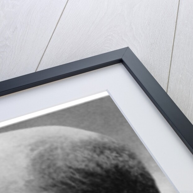 Henry James, American-born British novelist by Anonymous