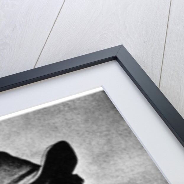 Johann Strauss the Younger, Austrian composer by Anonymous