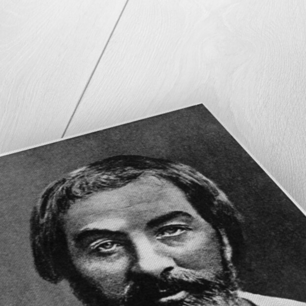 Walt Whitman, American poet by Anonymous
