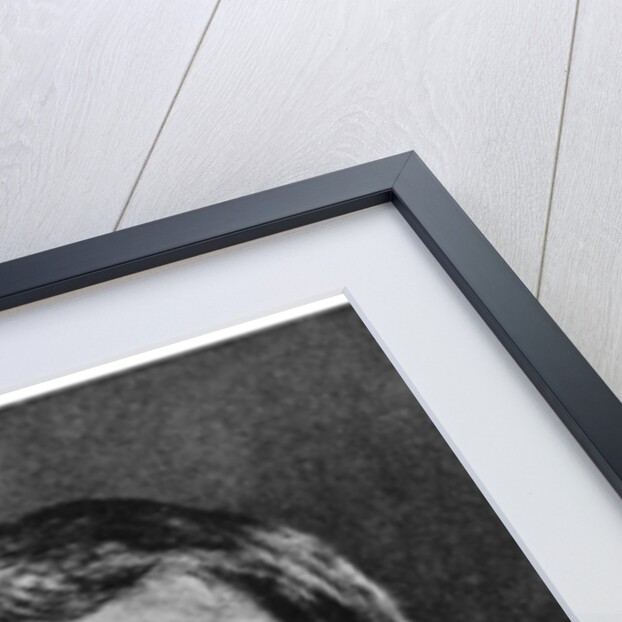 Walt Whitman, American poet by Anonymous